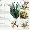 80 Pcs Large Dried Eucalyptus Stems 17inch Natural Real Fresh Eucalyptus Branches for Shower Hanging Fresh Plant Greenery Leaves for Wedding Bathroom Vase Filler DIY Garland Decor